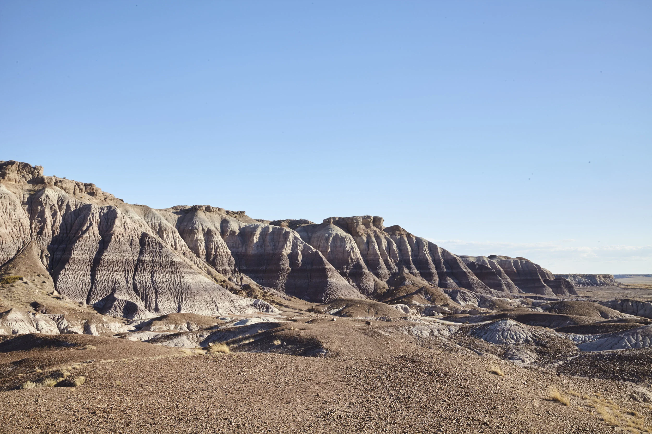 Petrified Forest National Park, Arizona - USA