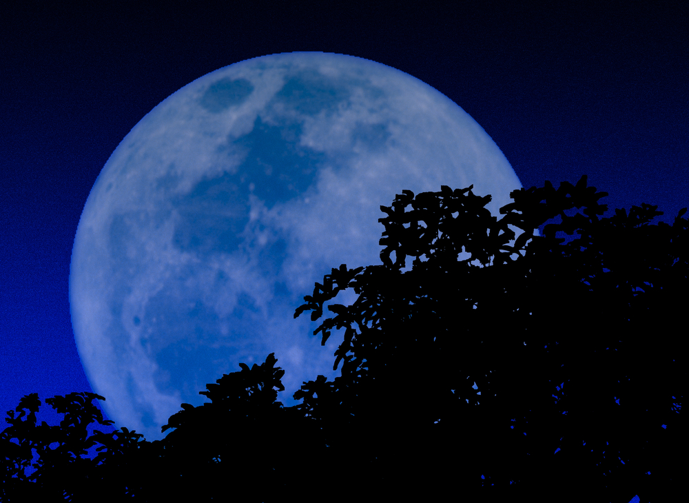 Moon Music - Special Guest: Claremont Trio