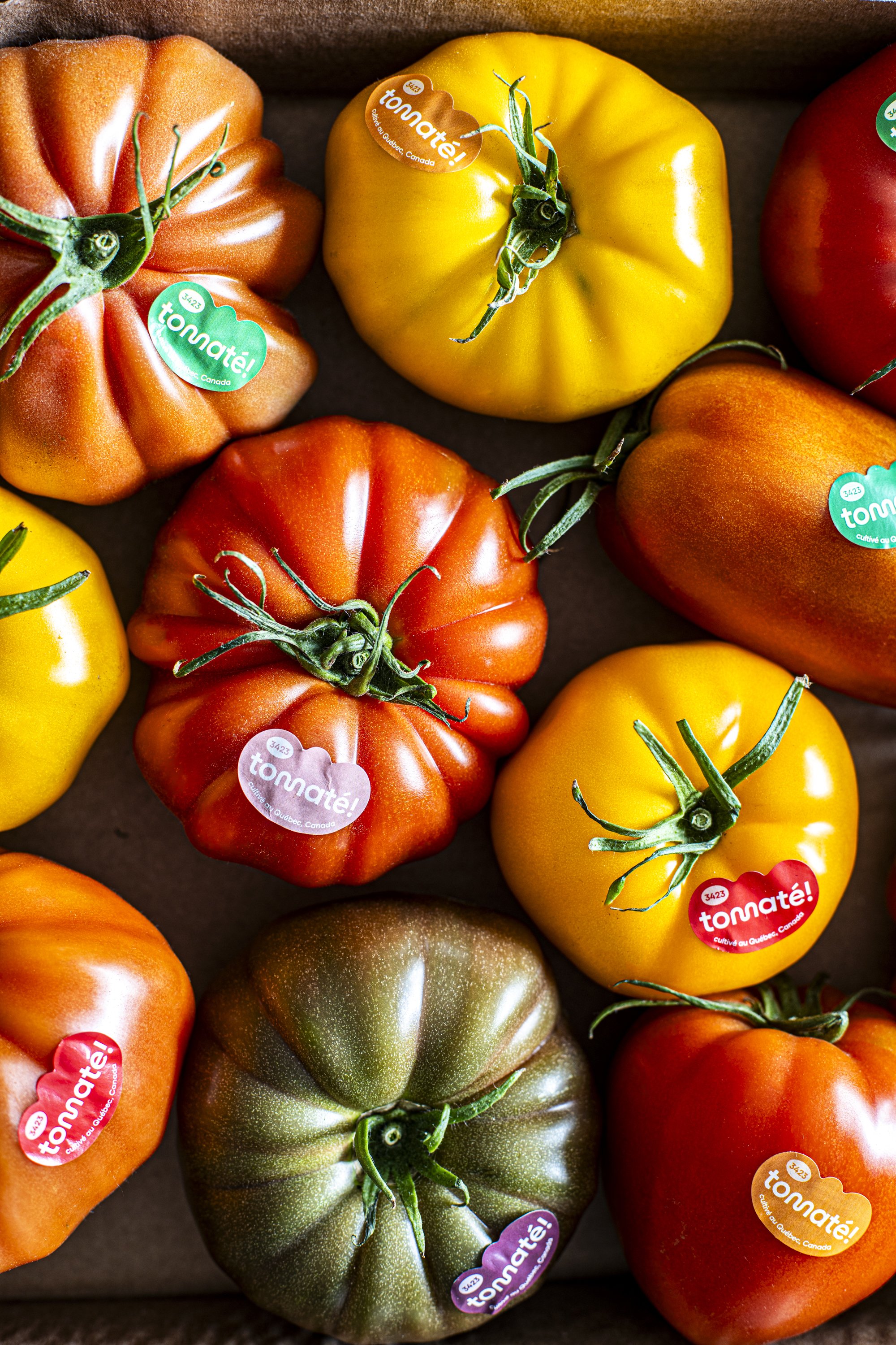 v4-Pain plat aux tomates