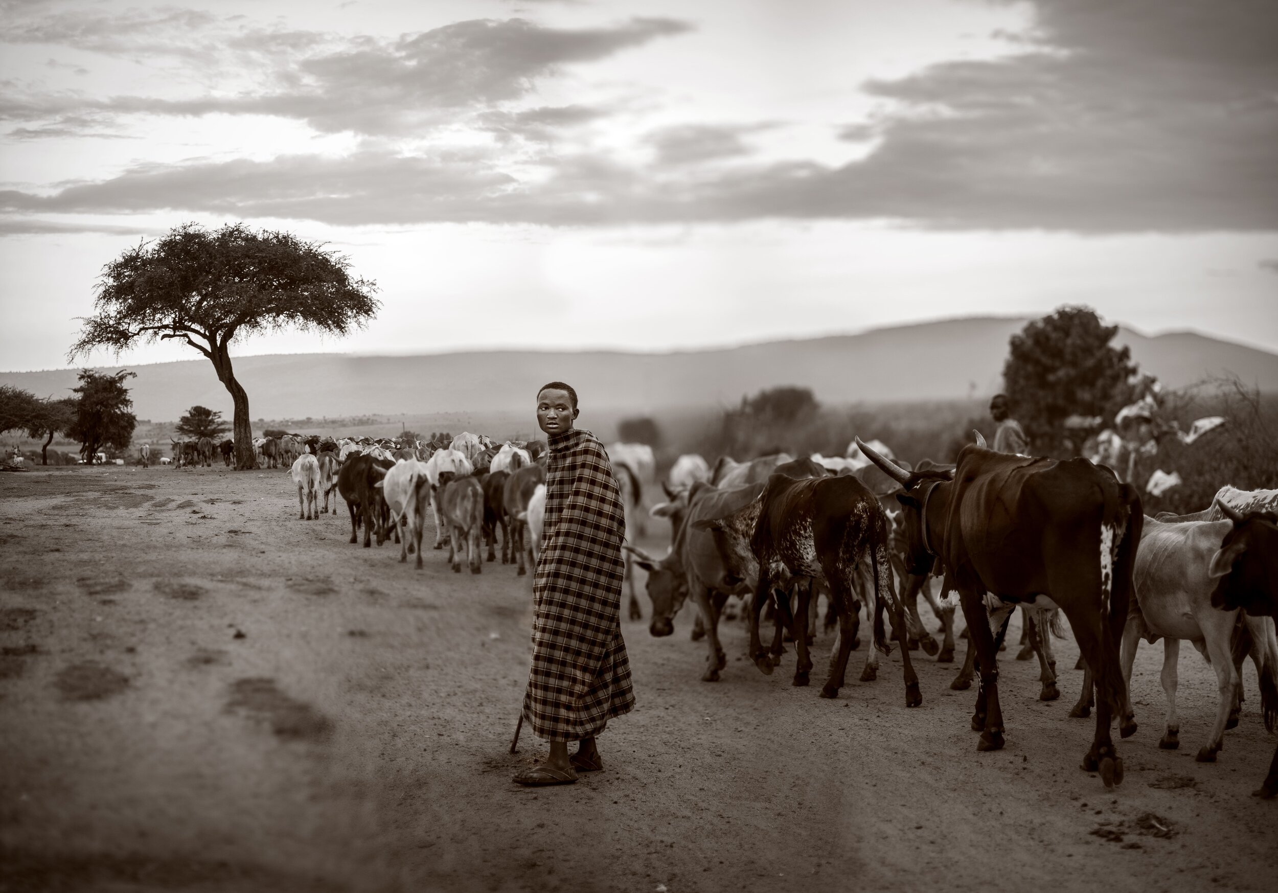 Kenya in 2014.jpg