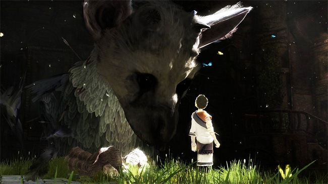 The Last Guardian- Video Games As Art