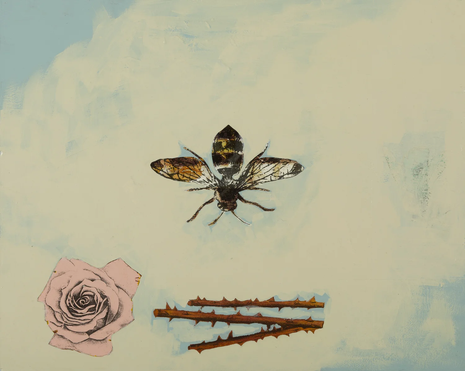BeeSeries_WinifredBrewer592.jpg