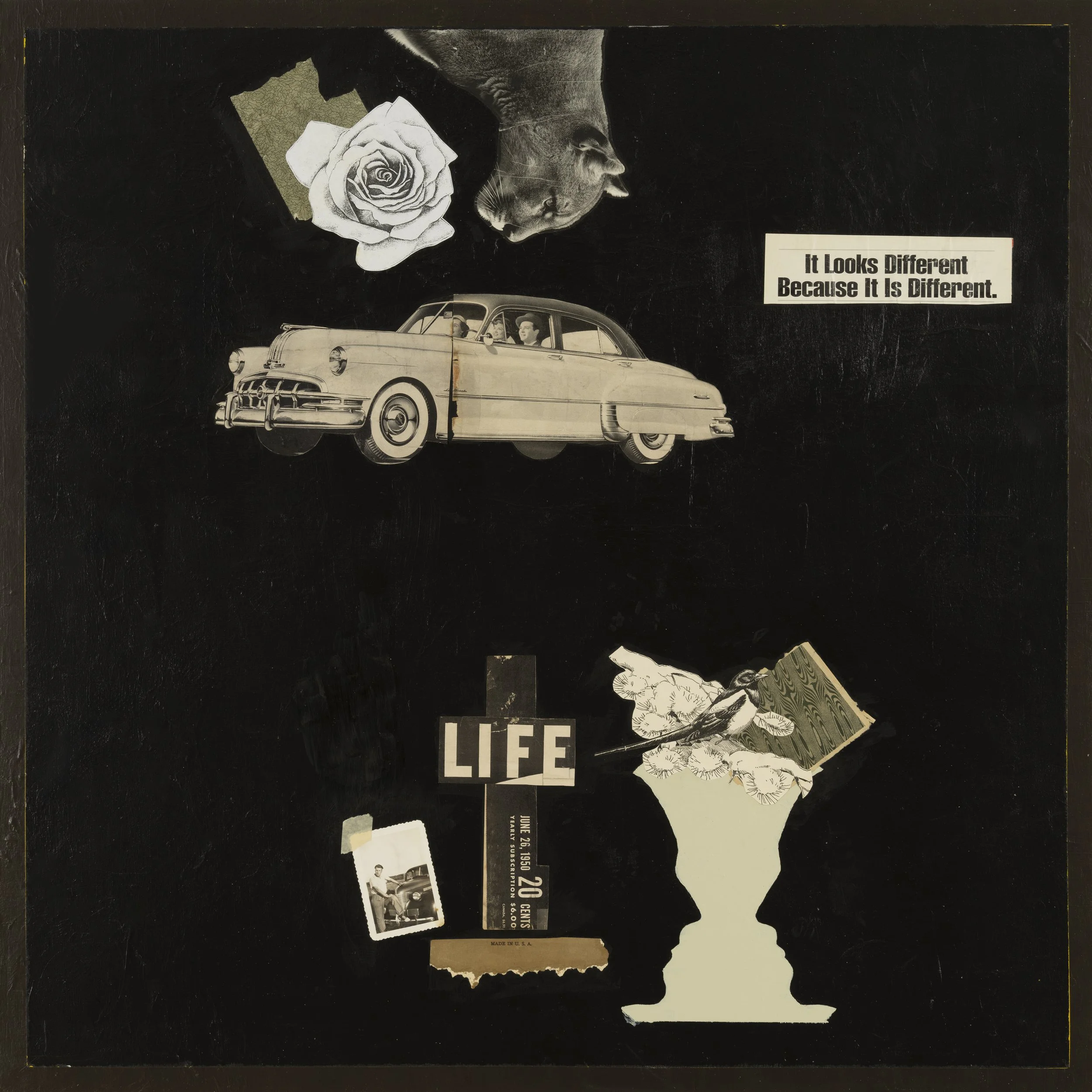 aesthetic strategies no. twelve