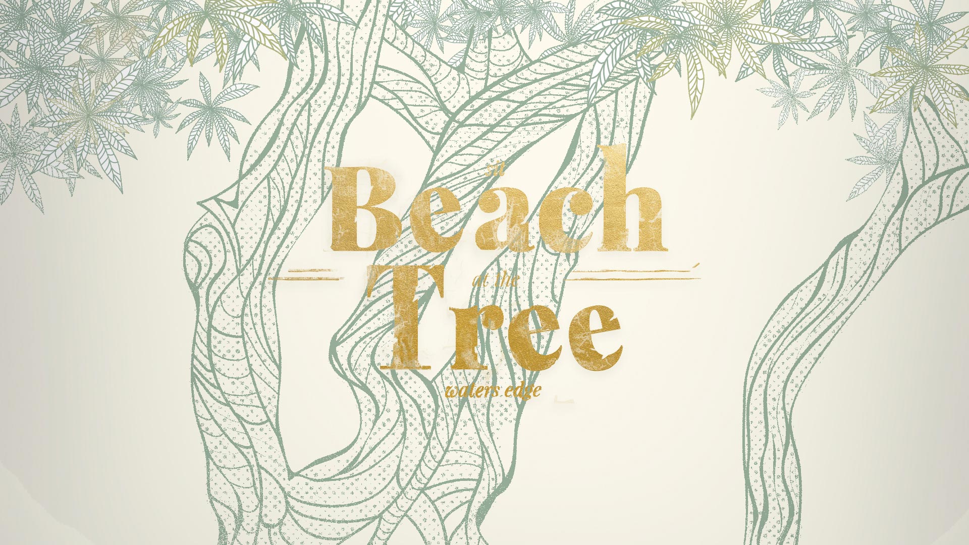 Beach-Tree.jpg