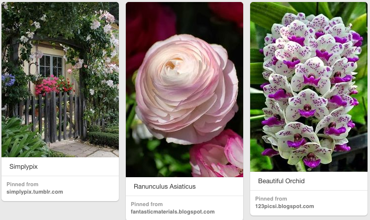 Who can deny the beauty of spring flowers?