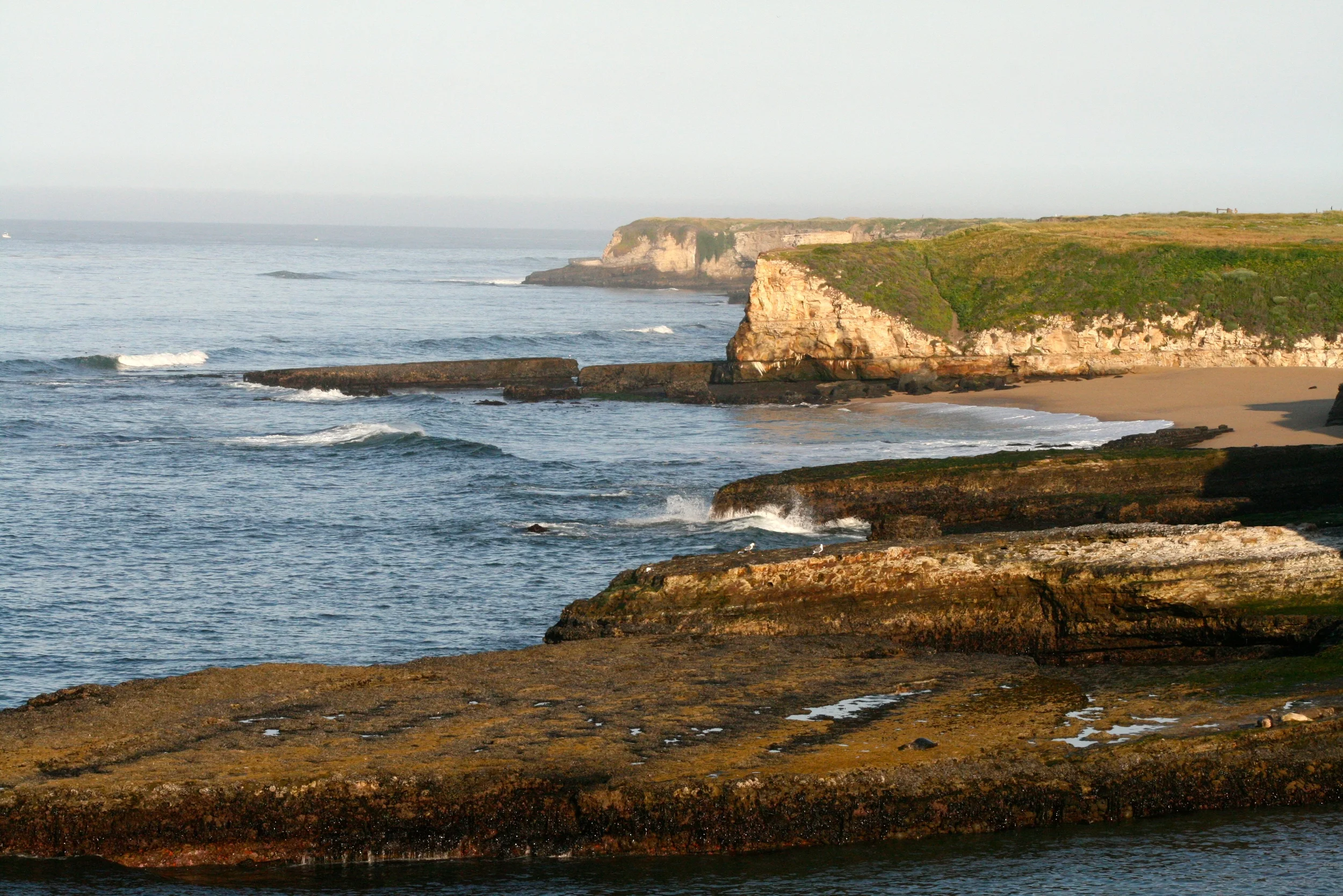 More from Wilder Ranch. These were taken in morning light between 7 and 8 a.m.