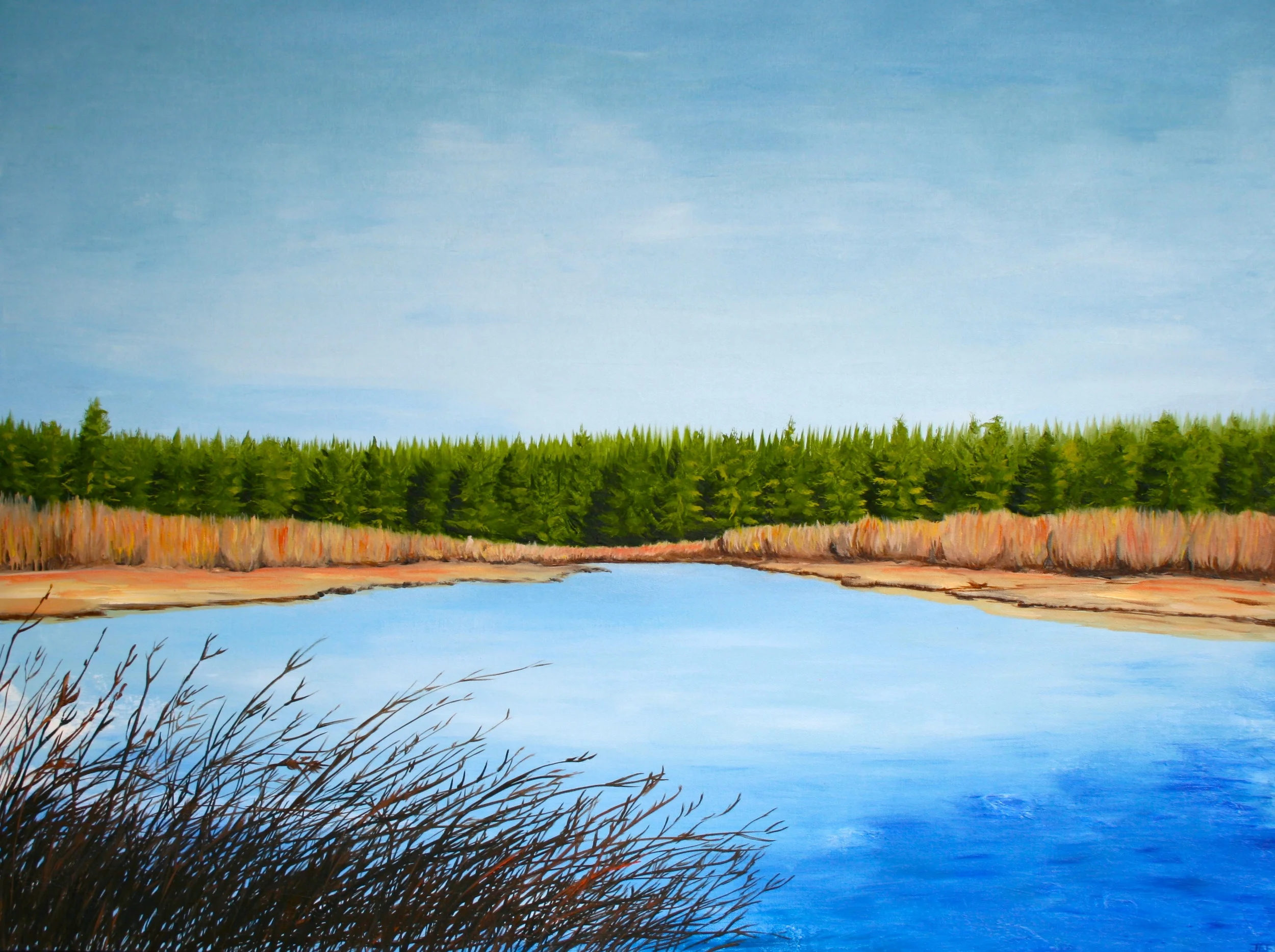 River Slows. Oil on canvas. 40 x 30. 2012.
