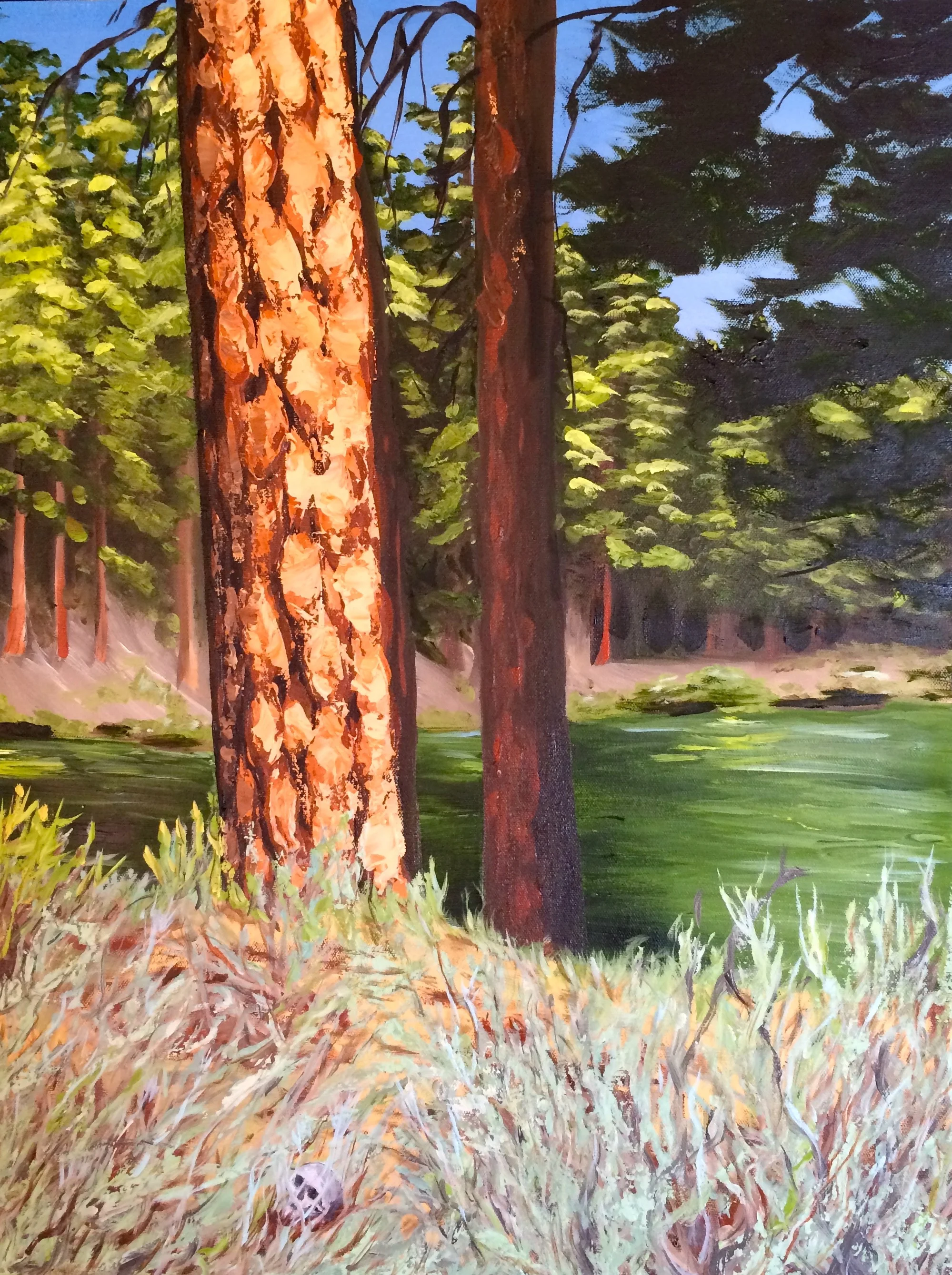 Ponderosa pine bark study. Oil on canvas (brush and pallet knife application). 18 x 24. 2014.