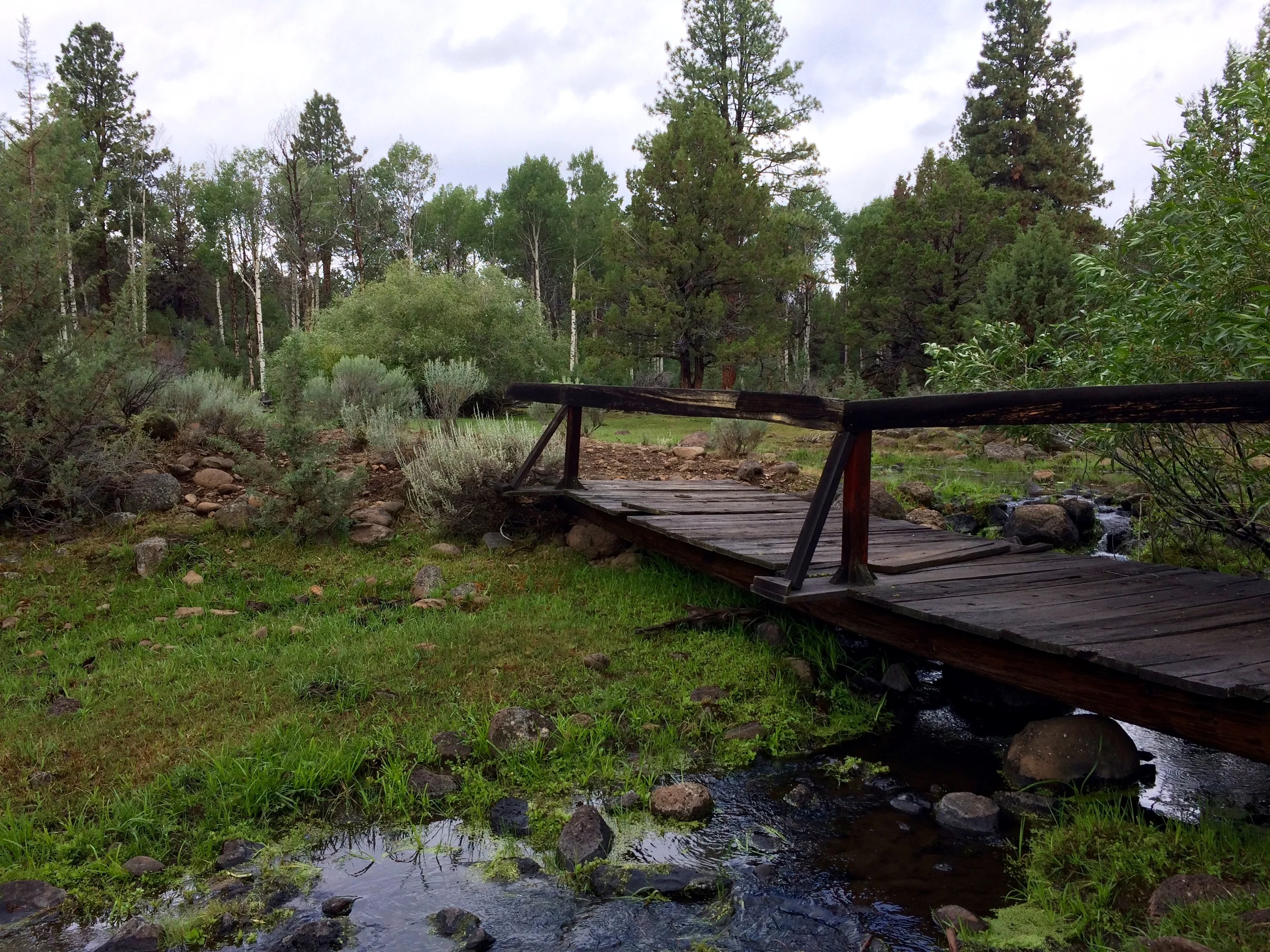 Footbridge over the creek