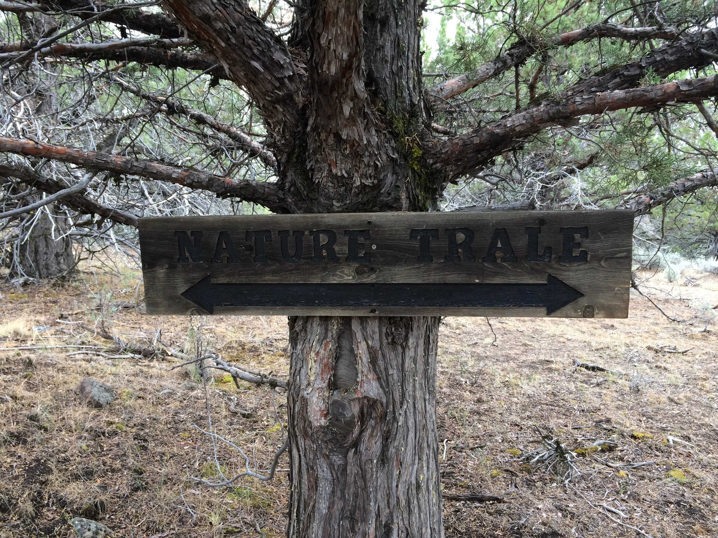 Hey, it's a Nature Trale!