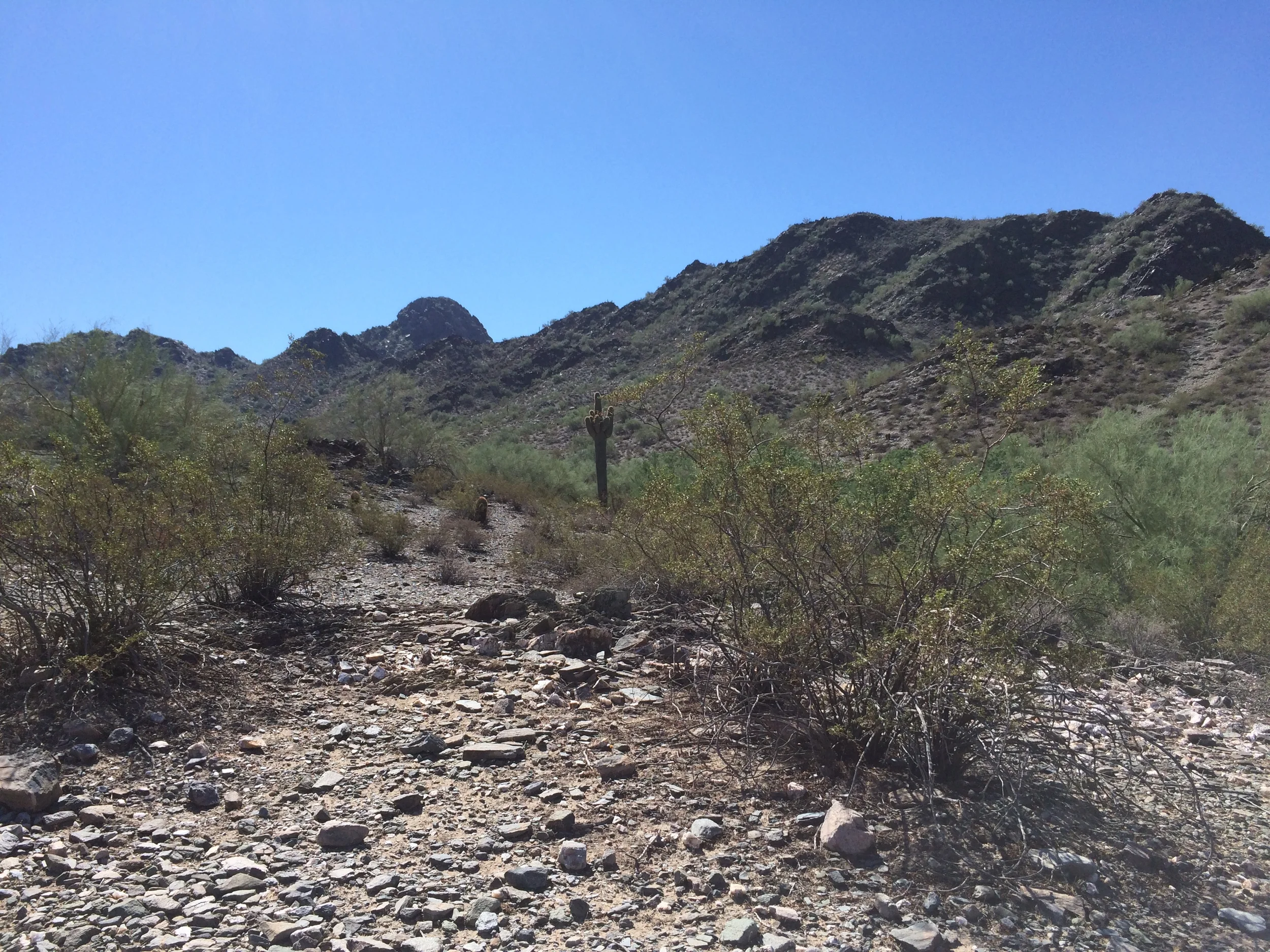 Wait, where did the trail go?