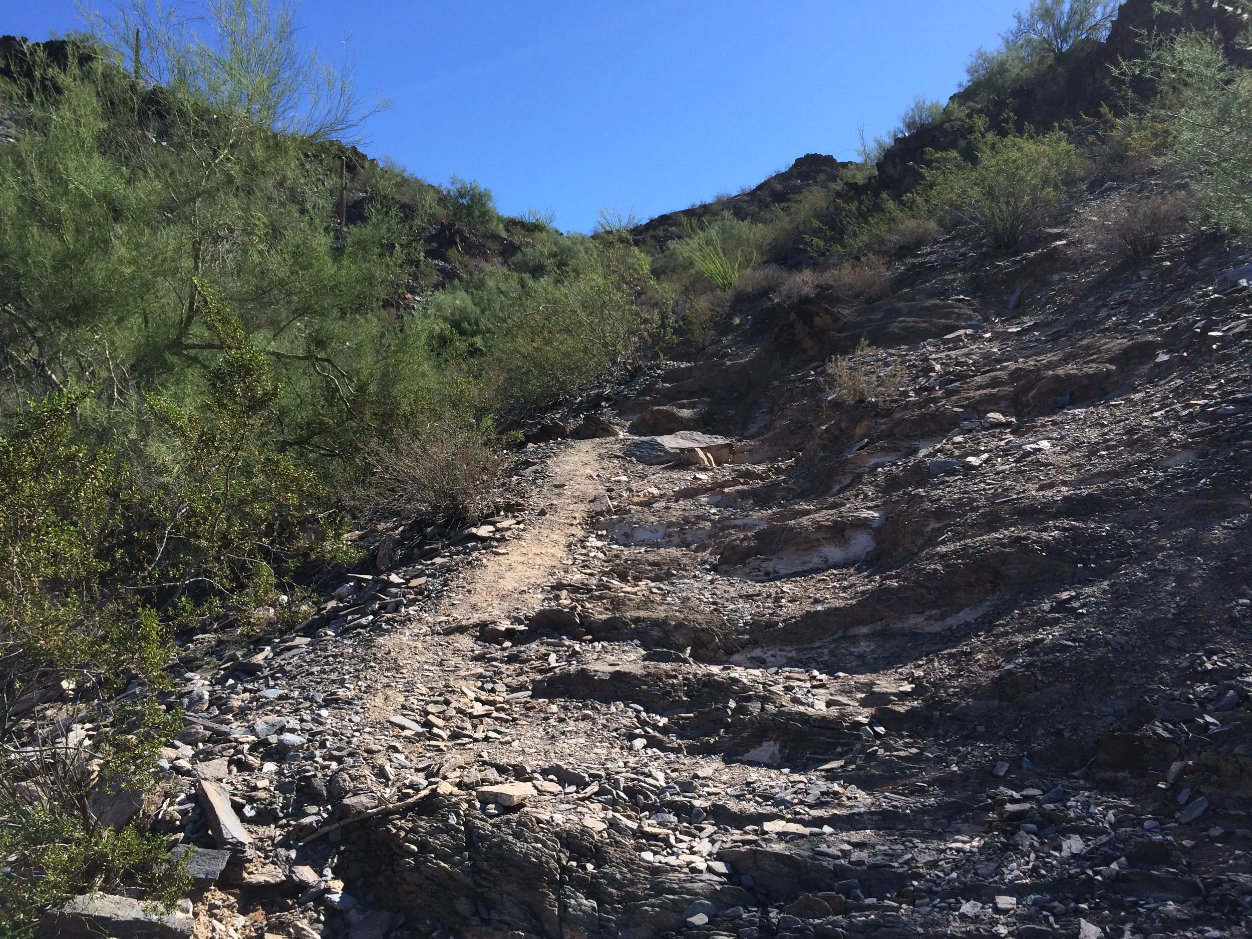 Bonus uphiking!