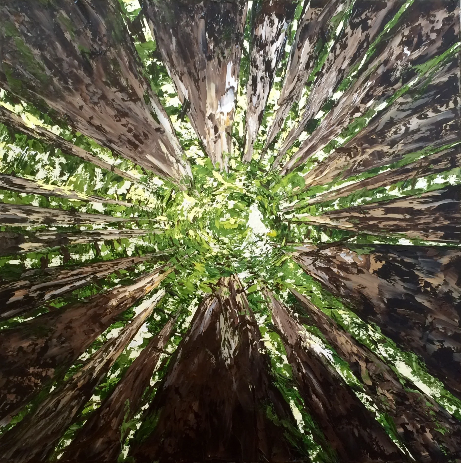 Redwoods Sky, oil on canvas (palette knife application), 20" x 20"