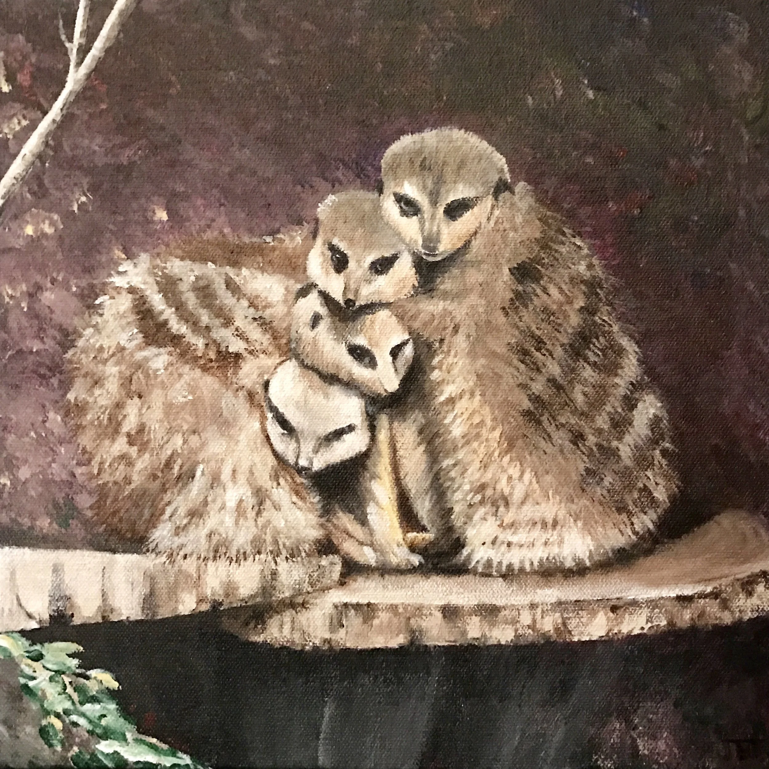 We're all just chilly meerkats on a stump in a zoo. Here's a hug from me.