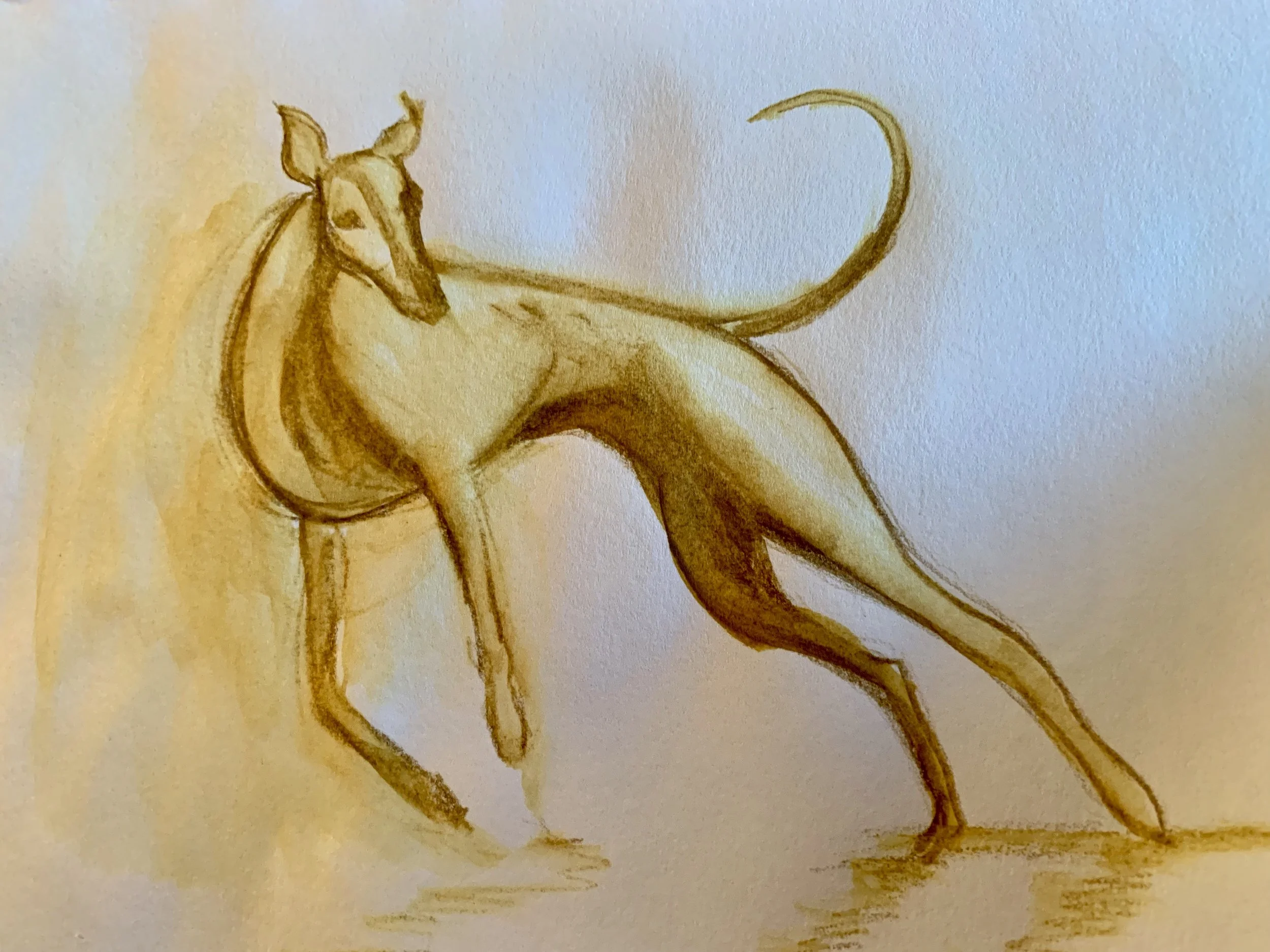 Someday soon I will frolic like a greyhound again. Soon.