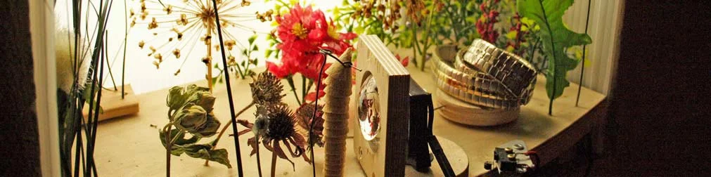 Paradise-sill1024crop.jpg