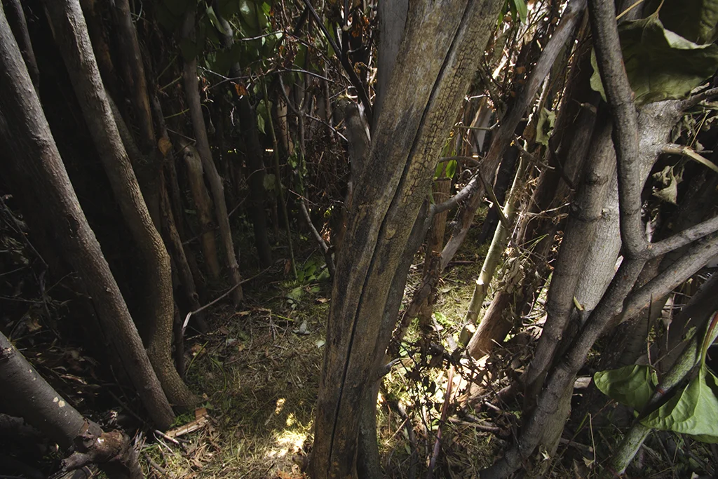Diorama-int21024.jpg