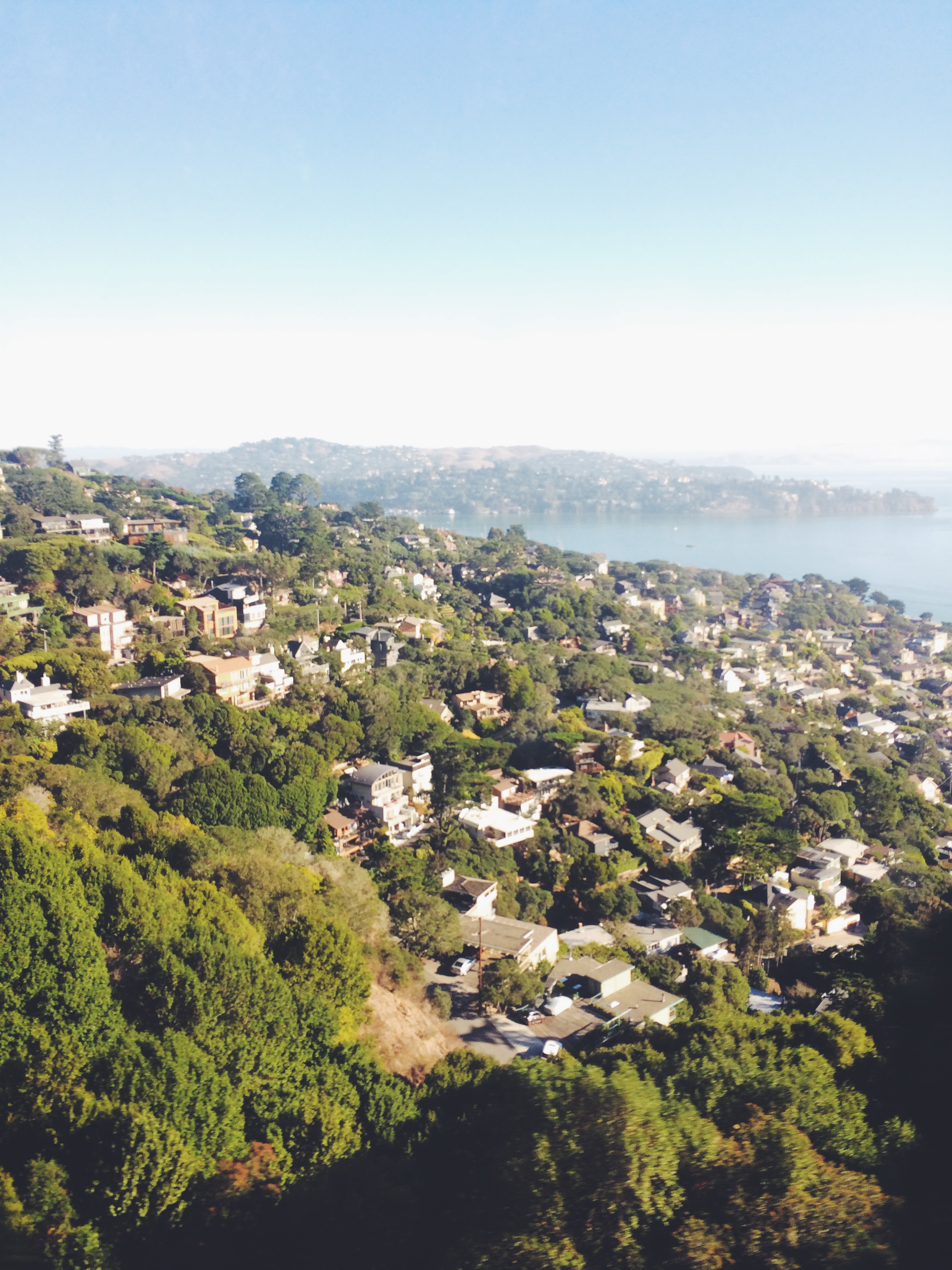 Posh Sausalito. 