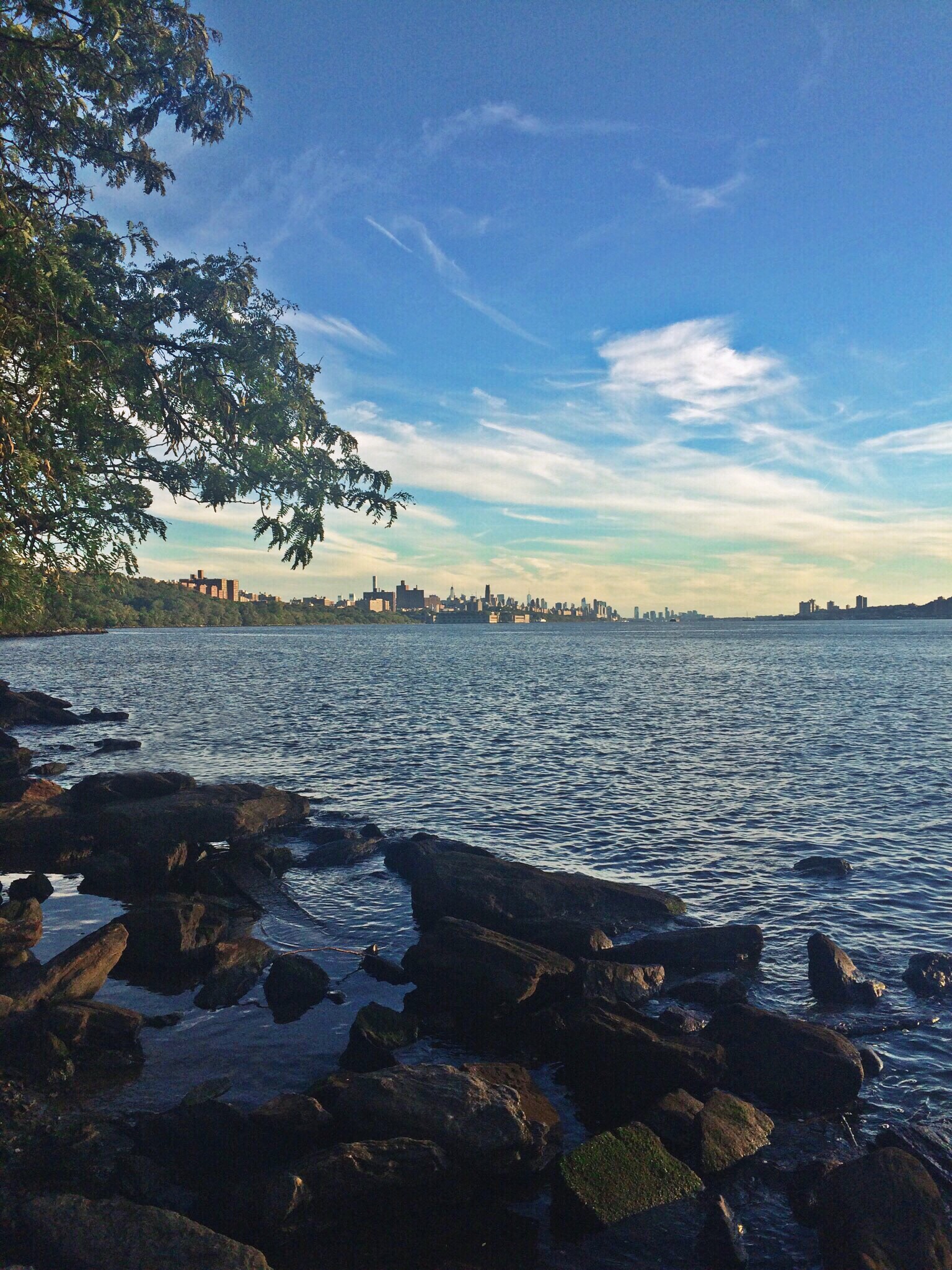 The view from the Little Red Lighthouse. 