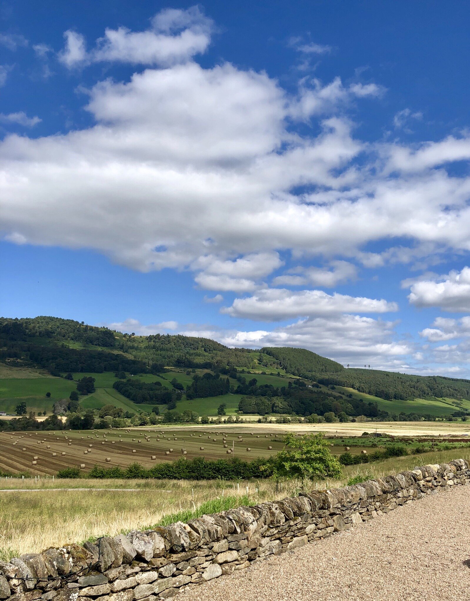 The view from Ballintaggart Farm.