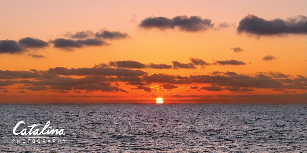carissa_catalina_photo_orange_sunset.jpg