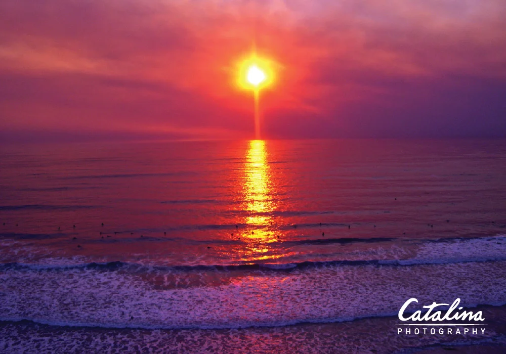 carissa_catalina_photo_purple_sun_set.jpg