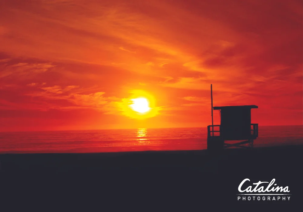 carissa_catalina_photo_red_sunset.jpg