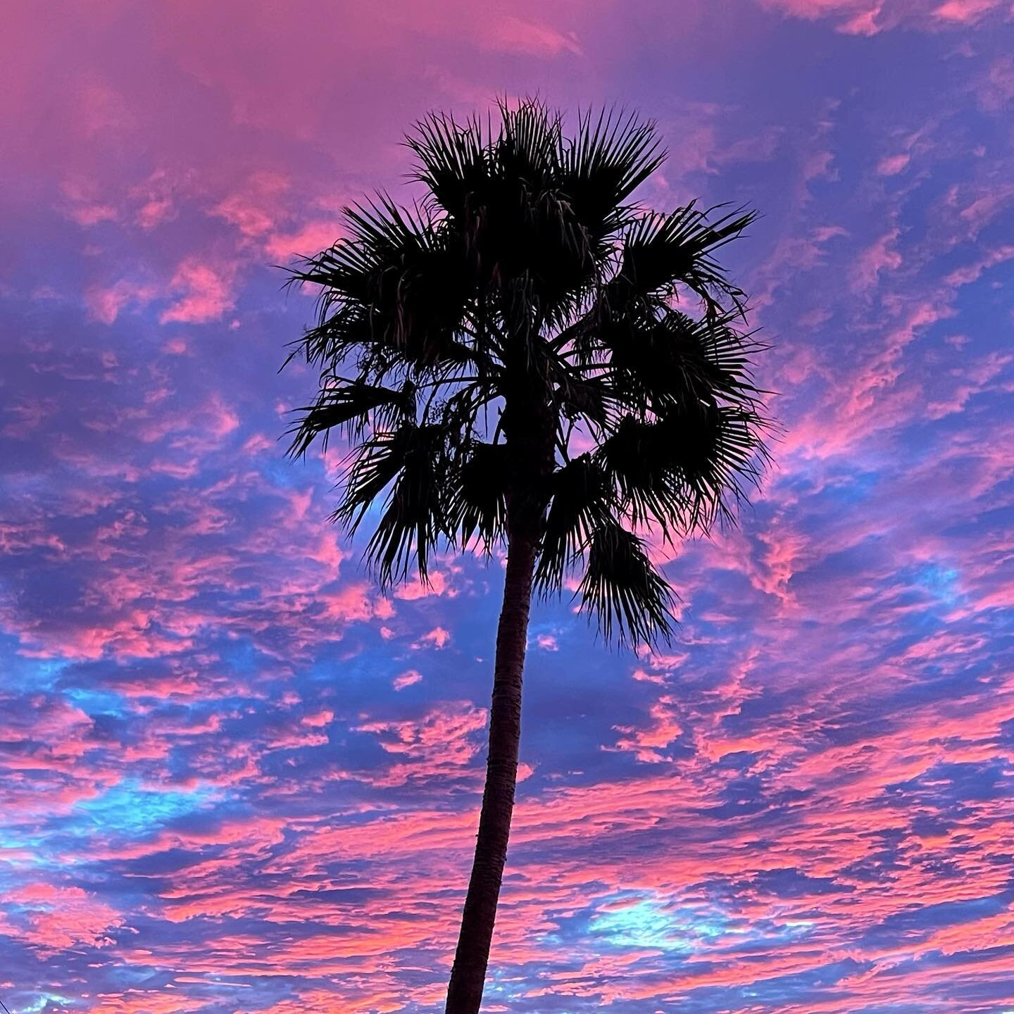 What a BEAutiful sunset 🤩
September - October is the best time of year for sunsets here is the South Bay!