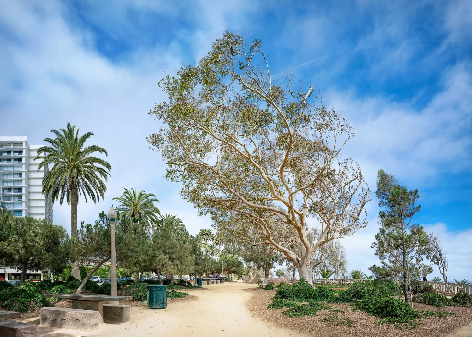 2016-06-05-10448.jpg