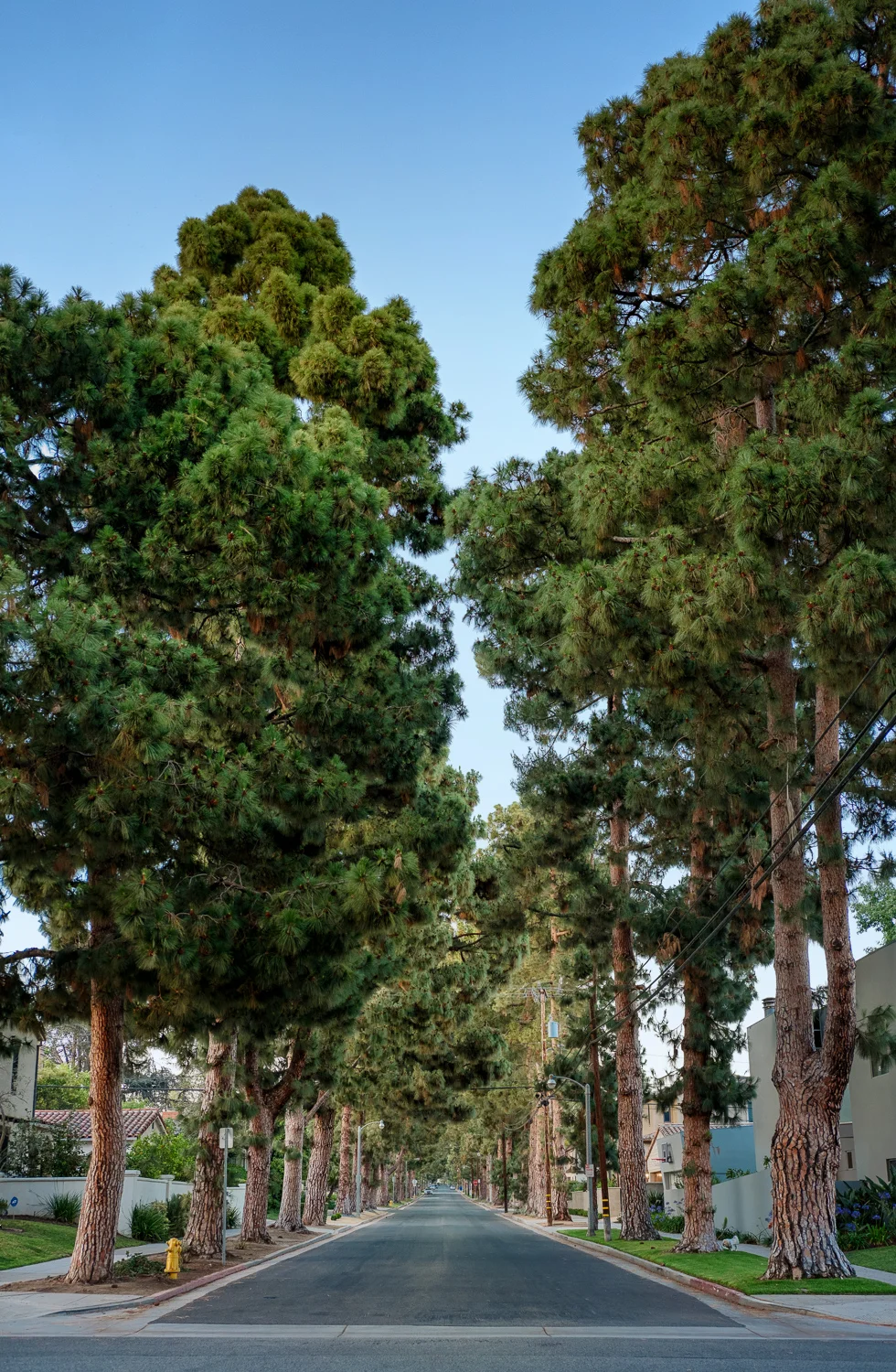 2016-06-19-11906.jpg