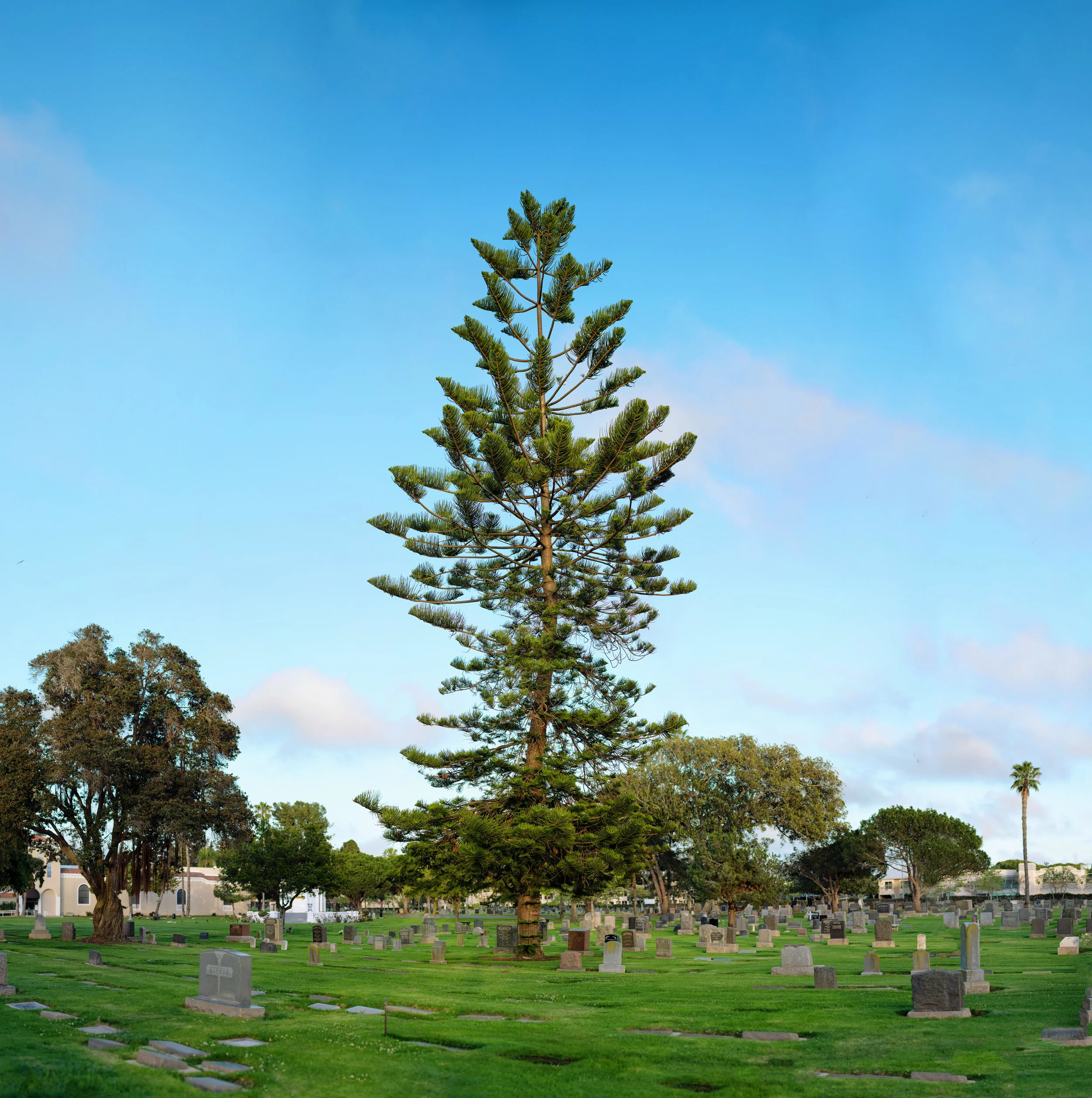 2018-04-07-47985.jpg