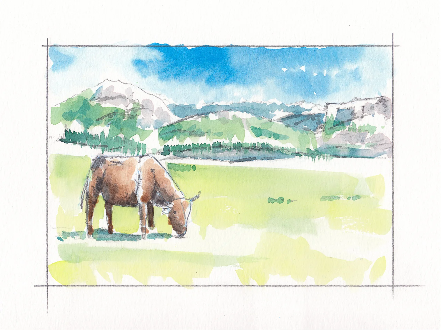 2019-04-28 Cow in mountains.jpg