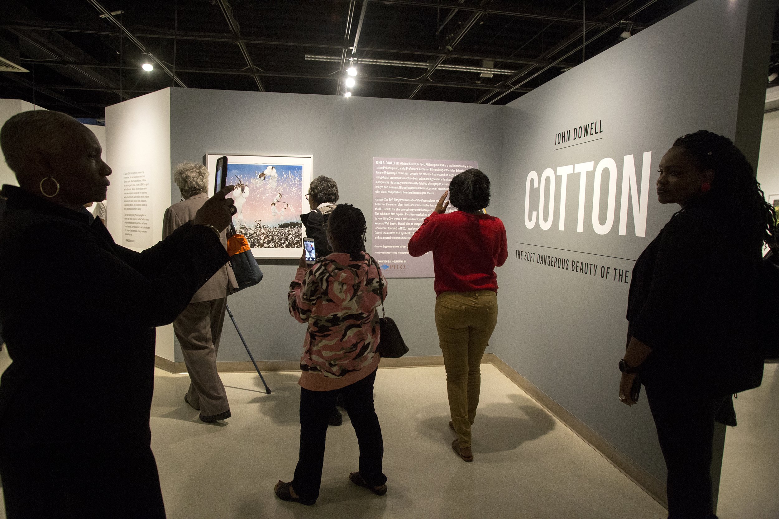 AAMP_Cotton-2018-14-Sept_01-M.Edlow.jpg