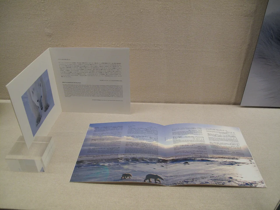 03_246400-6.21.2010-(light).jpg