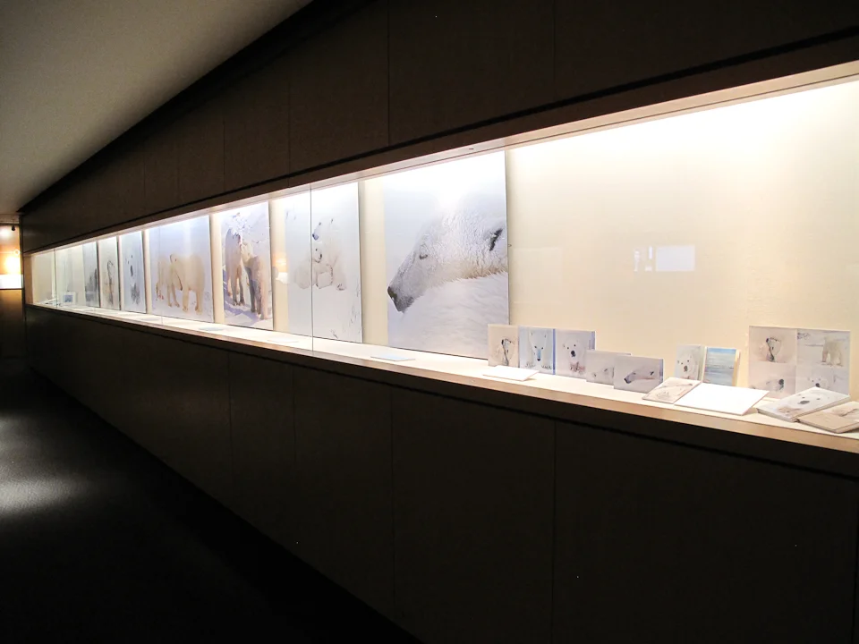06_246381-6.21.2010-(light).jpg