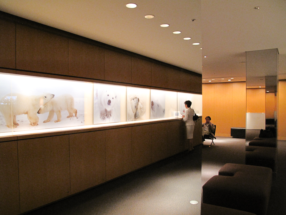 07_246388-6.21.2010-(light).jpg