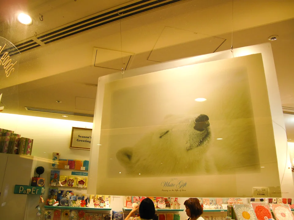 11_246937-6.30.2010-(light).jpg