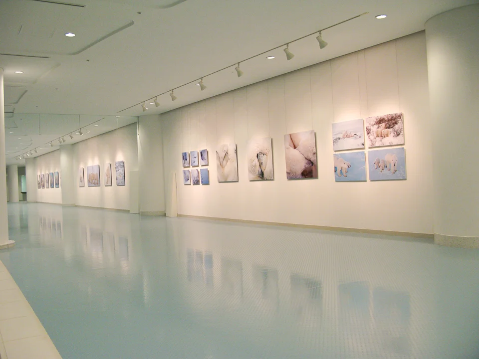 02_216748-7.31.2009-(light).jpg