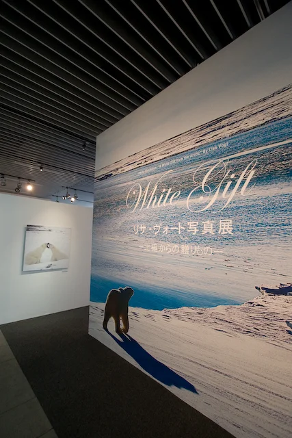 a_171541-8.03.2008-(light).jpg