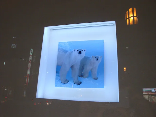 05_170200-7.18.2008-(light).jpg
