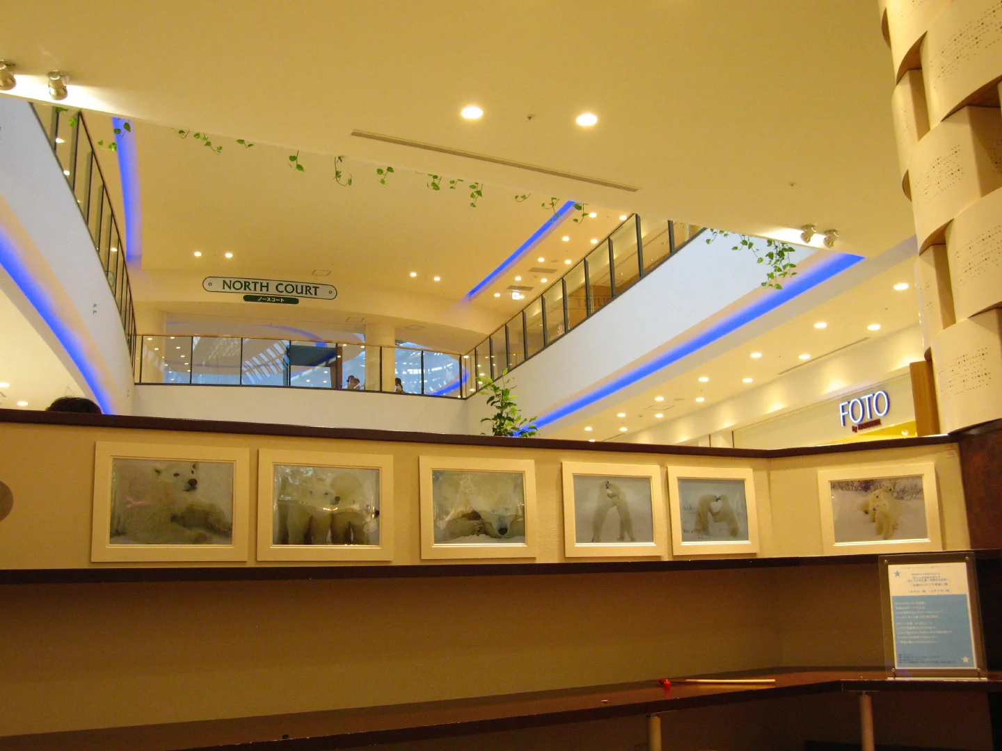 01_135343-8.11.2007.jpg