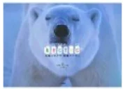 bearbook.jpg