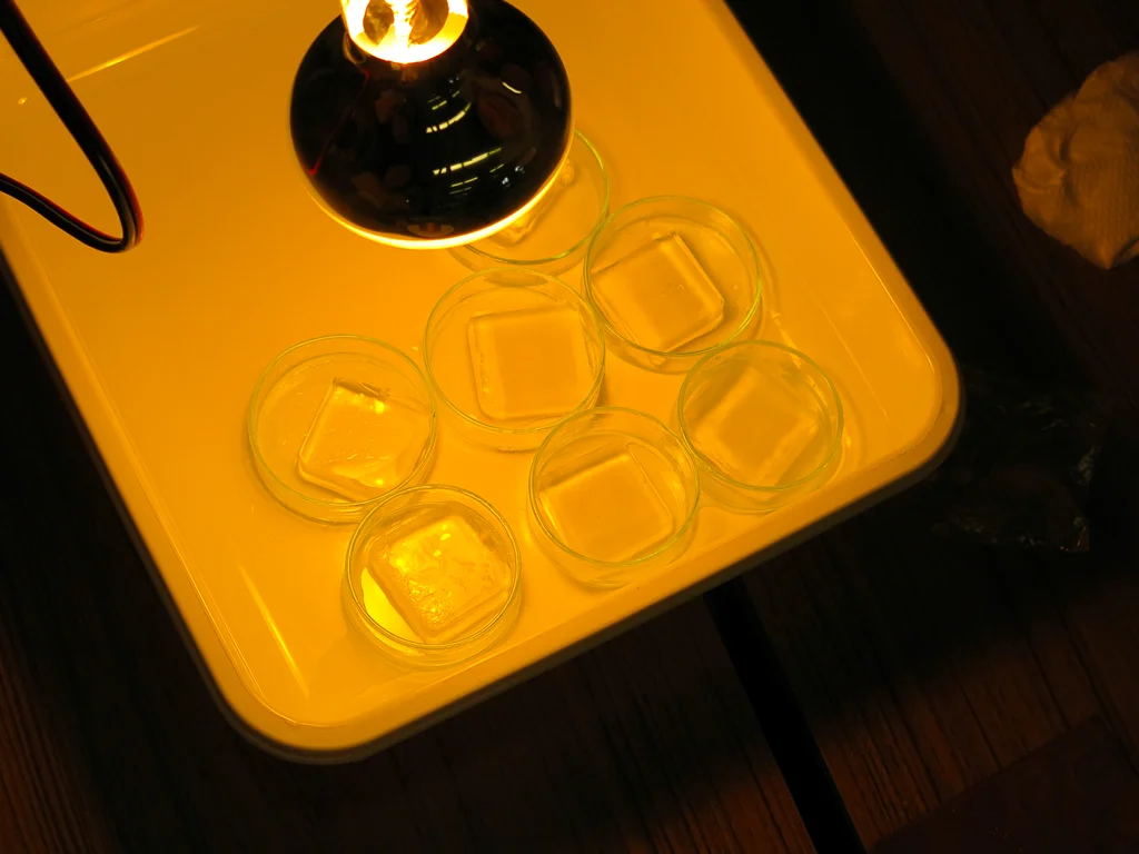 432988-08.02.2014 (light).jpg