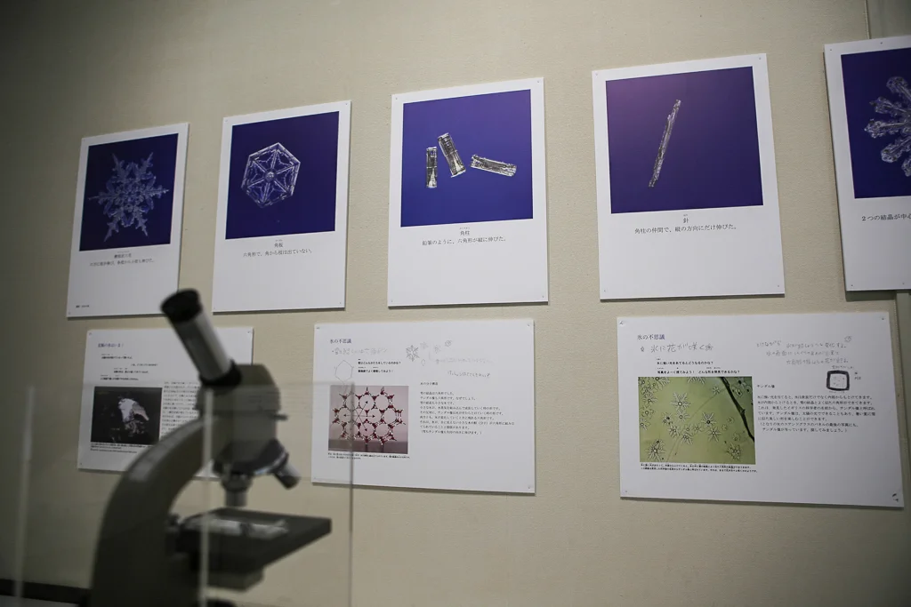 450233-12.15.2014 (light).jpg