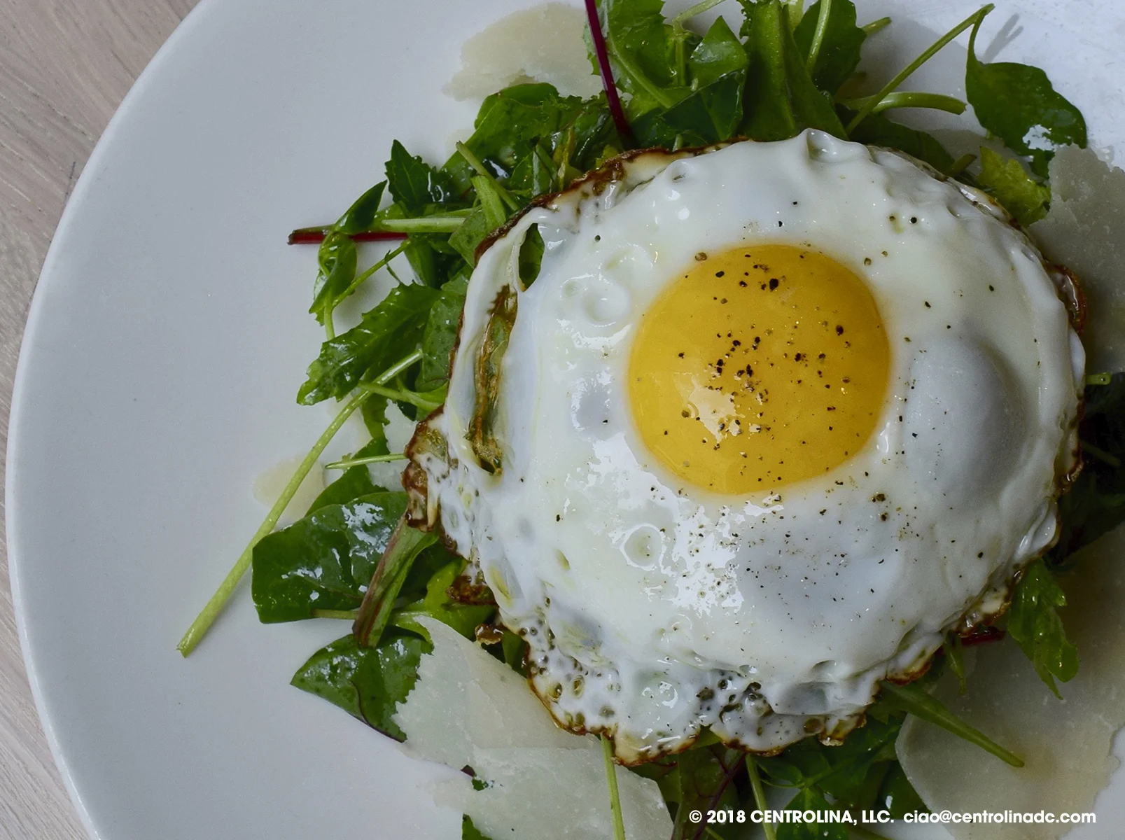Chef Amy Brandwein: Serving the DC Community