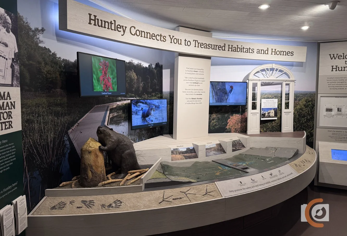 huntley13.jpg