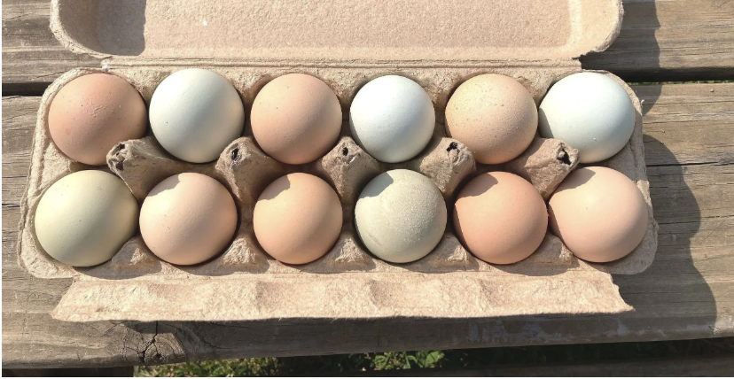 Screenshot 2026-04-03 at 1.56.26 pm.png