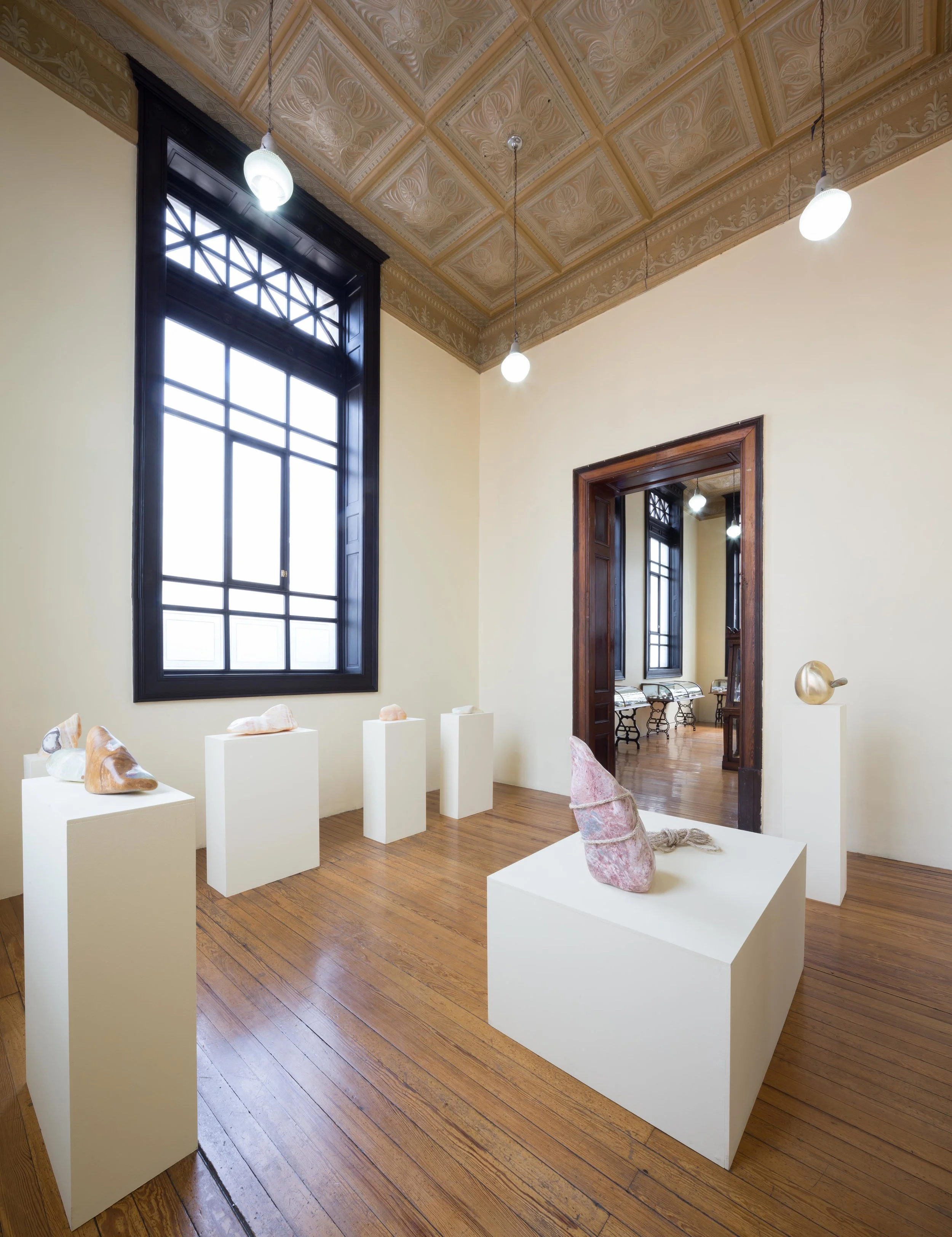 Janet Levy para Museo de Geología , 2018