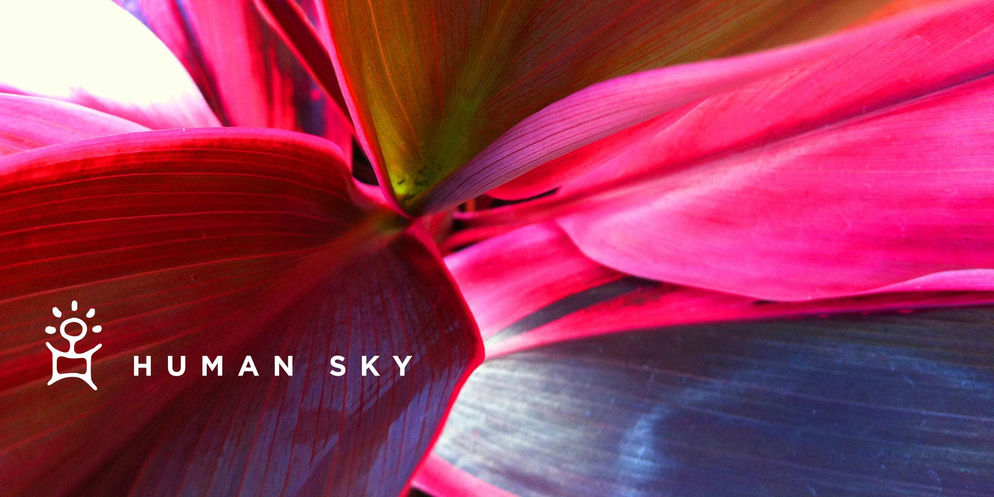 IDENTITY & NAMING Human Sky For a consulting team that guides the discovery of how people in organizations can create a balance between human and business outcomes, an identity was needed that captured both the head and heart. Organic lines, clean typography and a name that soars with aspiration—all come together for thoughtful and soulful touch.