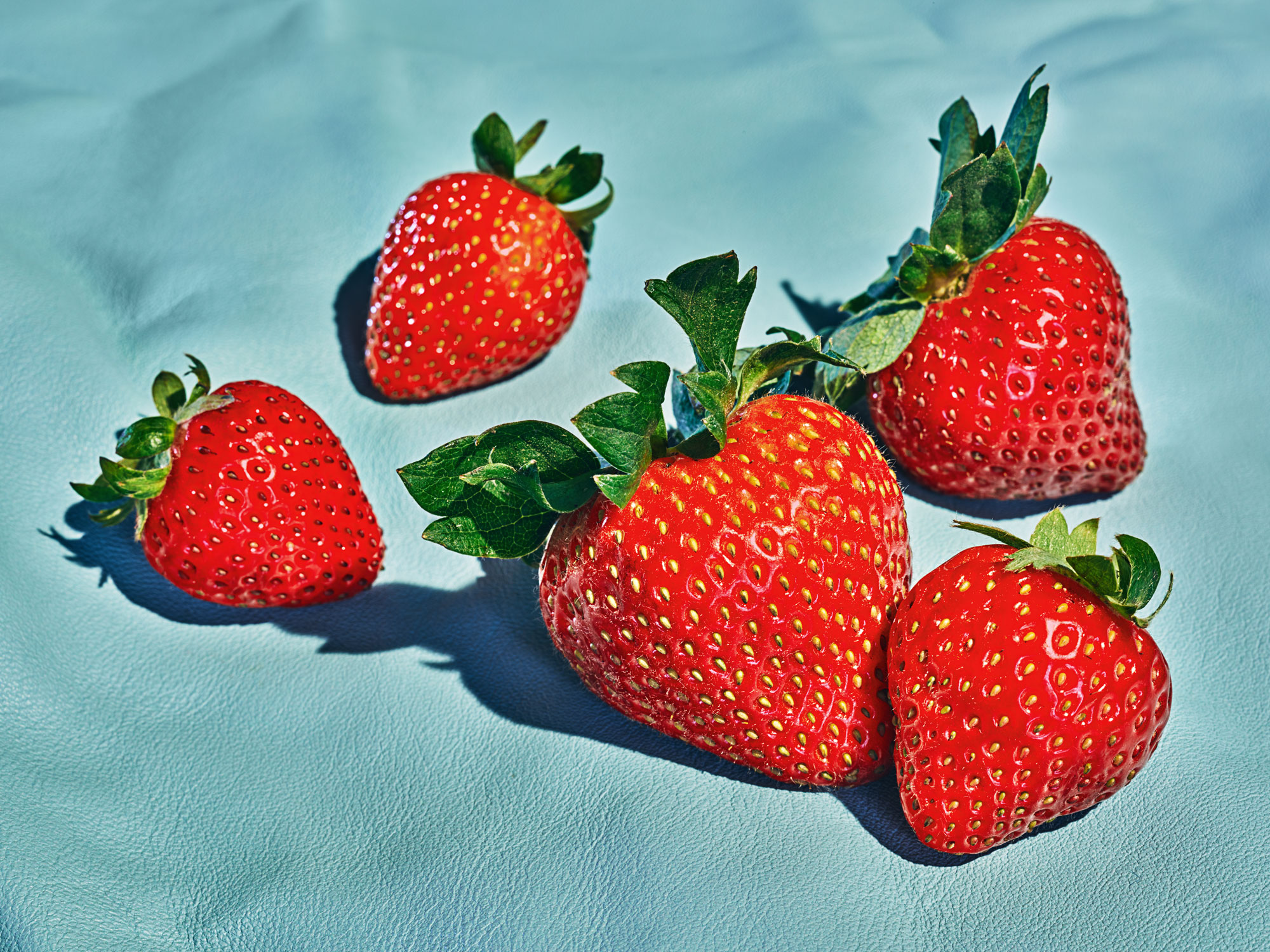 PROD_Core_SW_Fruit_Top_0135_RGB_v1.jpg